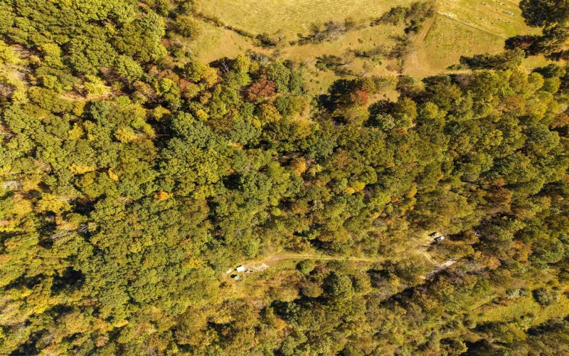 3847 Crooked Fork Road, Walkersville, West Virginia 26447, 0 , 0 ,0,Lots/land,For Sale,Crooked Fork,0,10167362