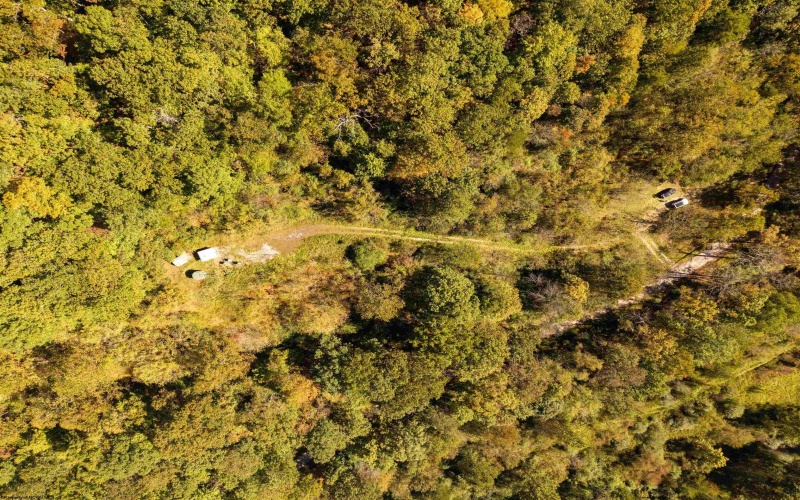 3847 Crooked Fork Road, Walkersville, West Virginia 26447, 0 , 0 ,0,Lots/land,For Sale,Crooked Fork,0,10167362