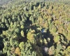 290 Long Fork Road, Flatwoods, West Virginia 26623, 0 , 0 ,0,Lots/land,For Sale,Long Fork,0,10167381