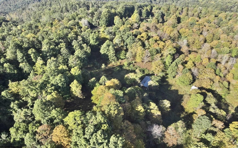 290 Long Fork Road, Flatwoods, West Virginia 26623, 0 , 0 ,0,Lots/land,For Sale,Long Fork,0,10167381