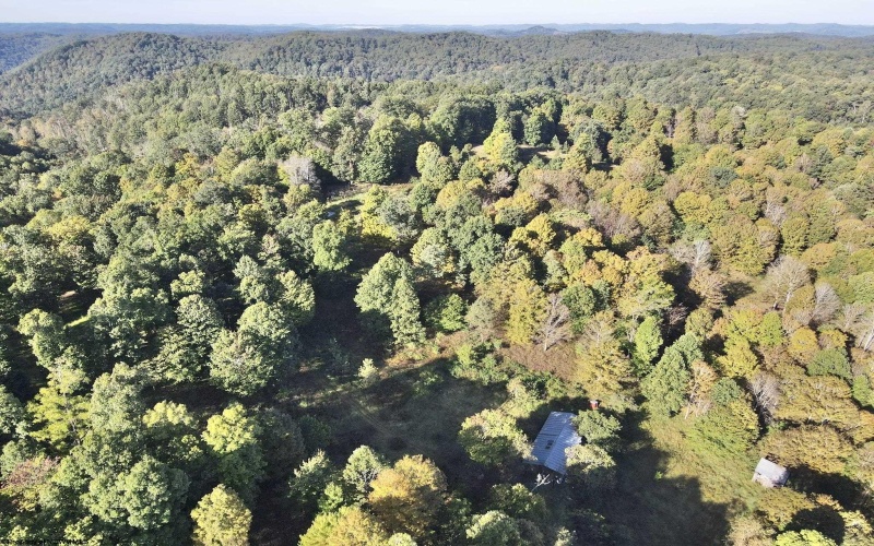 290 Long Fork Road, Flatwoods, West Virginia 26623, 0 , 0 ,0,Lots/land,For Sale,Long Fork,0,10167381