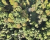 290 Long Fork Road, Flatwoods, West Virginia 26623, 0 , 0 ,0,Lots/land,For Sale,Long Fork,0,10167381