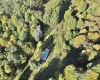 290 Long Fork Road, Flatwoods, West Virginia 26623, 0 , 0 ,0,Lots/land,For Sale,Long Fork,0,10167381