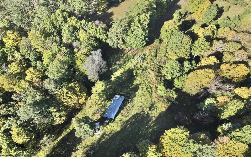 290 Long Fork Road, Flatwoods, West Virginia 26623, 0 , 0 ,0,Lots/land,For Sale,Long Fork,0,10167381