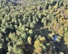 290 Long Fork Road, Flatwoods, West Virginia 26623, 0 , 0 ,0,Lots/land,For Sale,Long Fork,0,10167381