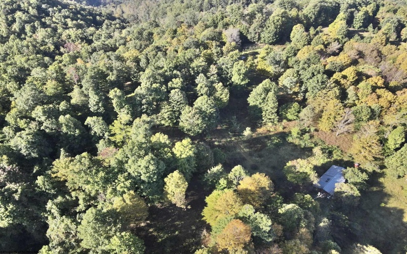 290 Long Fork Road, Flatwoods, West Virginia 26623, 0 , 0 ,0,Lots/land,For Sale,Long Fork,0,10167381