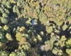 290 Long Fork Road, Flatwoods, West Virginia 26623, 0 , 0 ,0,Lots/land,For Sale,Long Fork,0,10167381