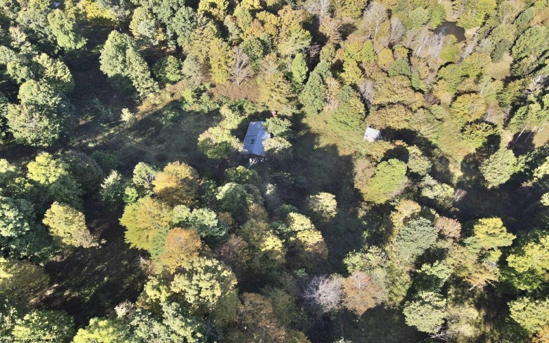 290 Long Fork Road, Flatwoods, West Virginia 26623, 0 , 0 ,0,Lots/land,For Sale,Long Fork,0,10167381