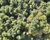 290 Long Fork Road, Flatwoods, West Virginia 26623, 0 , 0 ,0,Lots/land,For Sale,Long Fork,0,10167381