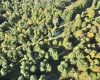 290 Long Fork Road, Flatwoods, West Virginia 26623, 0 , 0 ,0,Lots/land,For Sale,Long Fork,0,10167381