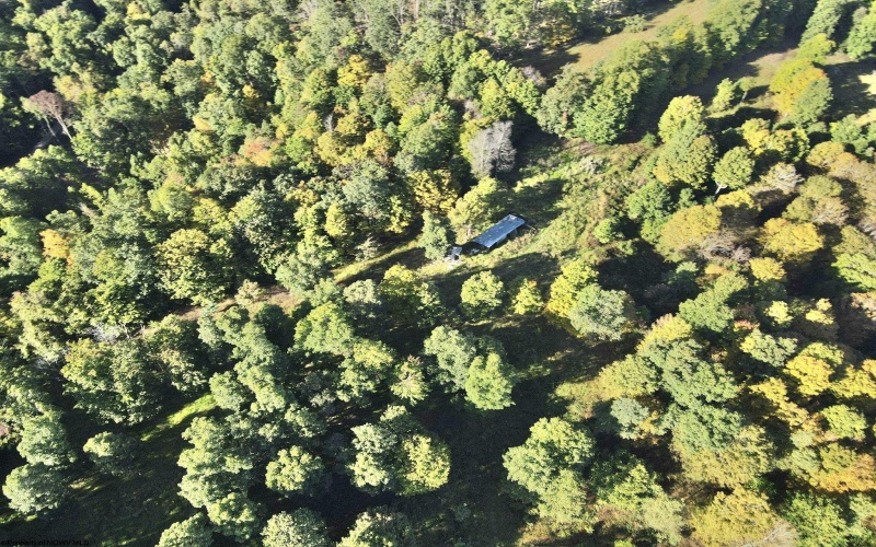 290 Long Fork Road, Flatwoods, West Virginia 26623, 0 , 0 ,0,Lots/land,For Sale,Long Fork,0,10167381