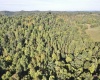 290 Long Fork Road, Flatwoods, West Virginia 26623, 0 , 0 ,0,Lots/land,For Sale,Long Fork,0,10167381