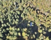 290 Long Fork Road, Flatwoods, West Virginia 26623, 0 , 0 ,0,Lots/land,For Sale,Long Fork,0,10167381