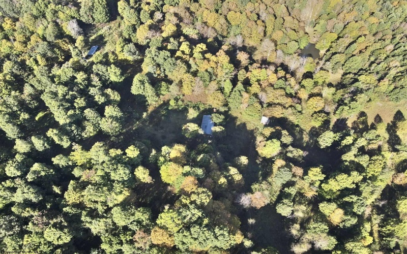 290 Long Fork Road, Flatwoods, West Virginia 26623, 0 , 0 ,0,Lots/land,For Sale,Long Fork,0,10167381