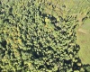 290 Long Fork Road, Flatwoods, West Virginia 26623, 0 , 0 ,0,Lots/land,For Sale,Long Fork,0,10167381
