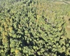 290 Long Fork Road, Flatwoods, West Virginia 26623, 0 , 0 ,0,Lots/land,For Sale,Long Fork,0,10167381