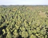 290 Long Fork Road, Flatwoods, West Virginia 26623, 0 , 0 ,0,Lots/land,For Sale,Long Fork,0,10167381