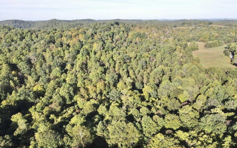290 Long Fork Road, Flatwoods, West Virginia 26623, 0 , 0 ,0,Lots/land,For Sale,Long Fork,0,10167381