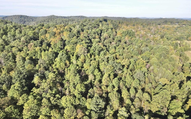 290 Long Fork Road, Flatwoods, West Virginia 26623, 0 , 0 ,0,Lots/land,For Sale,Long Fork,0,10167381