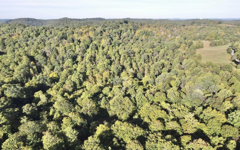 290 Long Fork Road, Flatwoods, West Virginia 26623, 0 , 0 ,0,Lots/land,For Sale,Long Fork,0,10167381