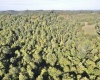 290 Long Fork Road, Flatwoods, West Virginia 26623, 0 , 0 ,0,Lots/land,For Sale,Long Fork,0,10167381
