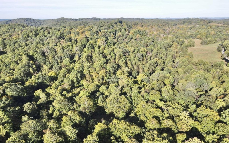 290 Long Fork Road, Flatwoods, West Virginia 26623, 0 , 0 ,0,Lots/land,For Sale,Long Fork,0,10167381
