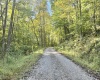 290 Long Fork Road, Flatwoods, West Virginia 26623, 0 , 0 ,0,Lots/land,For Sale,Long Fork,0,10167381