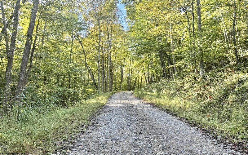 290 Long Fork Road, Flatwoods, West Virginia 26623, 0 , 0 ,0,Lots/land,For Sale,Long Fork,0,10167381