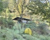 290 Long Fork Road, Flatwoods, West Virginia 26623, 0 , 0 ,0,Lots/land,For Sale,Long Fork,0,10167381