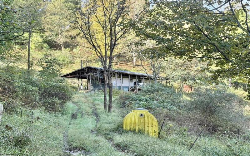 290 Long Fork Road, Flatwoods, West Virginia 26623, 0 , 0 ,0,Lots/land,For Sale,Long Fork,0,10167381