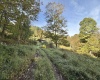 290 Long Fork Road, Flatwoods, West Virginia 26623, 0 , 0 ,0,Lots/land,For Sale,Long Fork,0,10167381