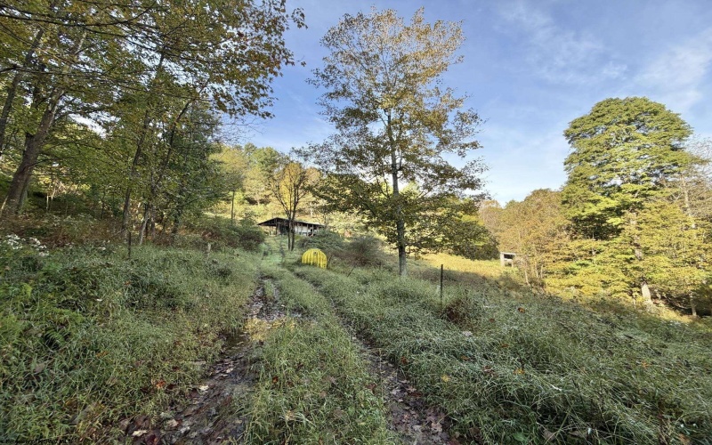 290 Long Fork Road, Flatwoods, West Virginia 26623, 0 , 0 ,0,Lots/land,For Sale,Long Fork,0,10167381