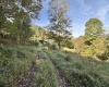 290 Long Fork Road, Flatwoods, West Virginia 26623, 0 , 0 ,0,Lots/land,For Sale,Long Fork,0,10167381