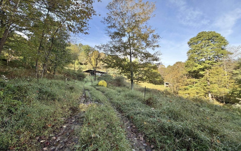 290 Long Fork Road, Flatwoods, West Virginia 26623, 0 , 0 ,0,Lots/land,For Sale,Long Fork,0,10167381