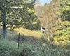 290 Long Fork Road, Flatwoods, West Virginia 26623, 0 , 0 ,0,Lots/land,For Sale,Long Fork,0,10167381