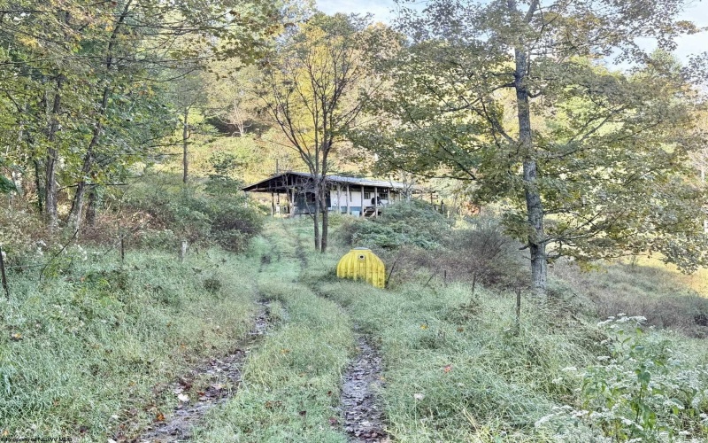 290 Long Fork Road, Flatwoods, West Virginia 26623, 0 , 0 ,0,Lots/land,For Sale,Long Fork,0,10167381