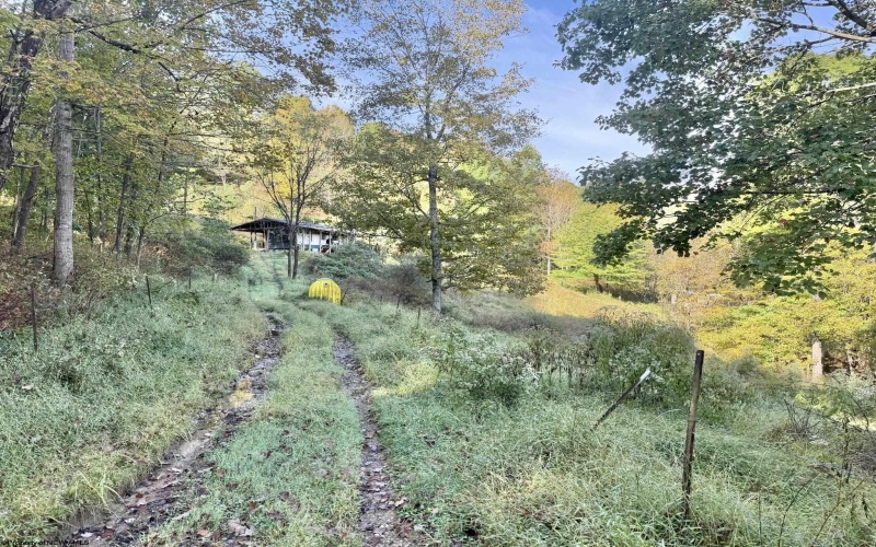 290 Long Fork Road, Flatwoods, West Virginia 26623, 0 , 0 ,0,Lots/land,For Sale,Long Fork,0,10167381
