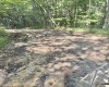 290 Long Fork Road, Flatwoods, West Virginia 26623, 0 , 0 ,0,Lots/land,For Sale,Long Fork,0,10167381