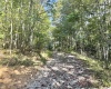 290 Long Fork Road, Flatwoods, West Virginia 26623, 0 , 0 ,0,Lots/land,For Sale,Long Fork,0,10167381
