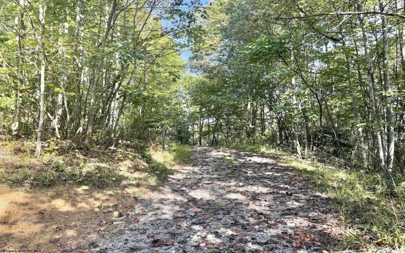 290 Long Fork Road, Flatwoods, West Virginia 26623, 0 , 0 ,0,Lots/land,For Sale,Long Fork,0,10167381