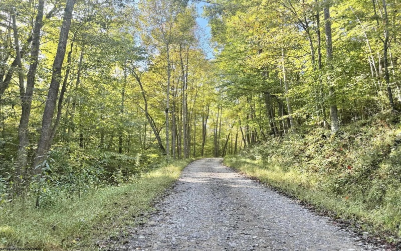 290 Long Fork Road, Flatwoods, West Virginia 26623, 0 , 0 ,0,Lots/land,For Sale,Long Fork,0,10167381