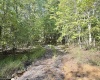 290 Long Fork Road, Flatwoods, West Virginia 26623, 0 , 0 ,0,Lots/land,For Sale,Long Fork,0,10167381