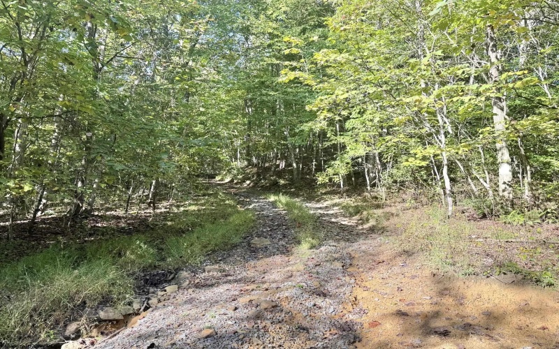 290 Long Fork Road, Flatwoods, West Virginia 26623, 0 , 0 ,0,Lots/land,For Sale,Long Fork,0,10167381