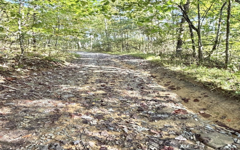 290 Long Fork Road, Flatwoods, West Virginia 26623, 0 , 0 ,0,Lots/land,For Sale,Long Fork,0,10167381