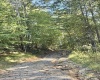 290 Long Fork Road, Flatwoods, West Virginia 26623, 0 , 0 ,0,Lots/land,For Sale,Long Fork,0,10167381