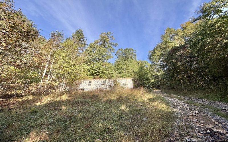 290 Long Fork Road, Flatwoods, West Virginia 26623, 0 , 0 ,0,Lots/land,For Sale,Long Fork,0,10167381