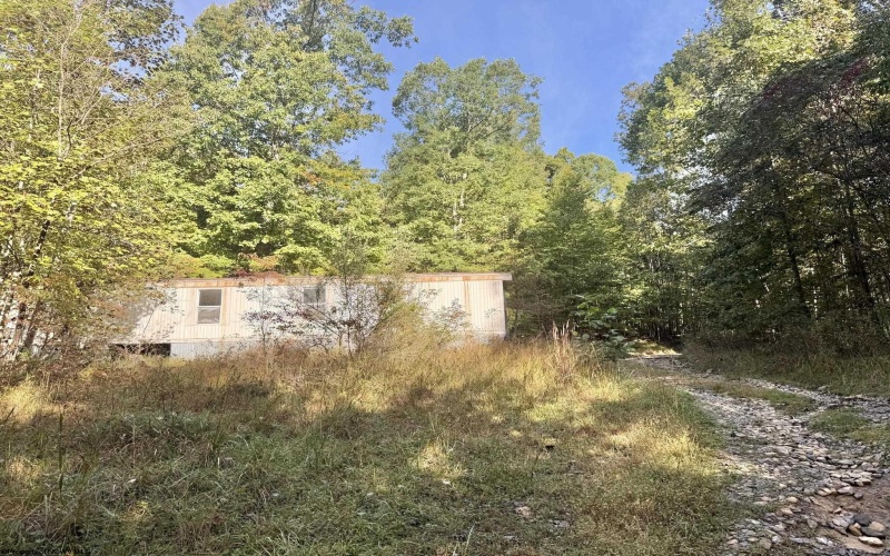 290 Long Fork Road, Flatwoods, West Virginia 26623, 0 , 0 ,0,Lots/land,For Sale,Long Fork,0,10167381