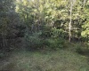290 Long Fork Road, Flatwoods, West Virginia 26623, 0 , 0 ,0,Lots/land,For Sale,Long Fork,0,10167381