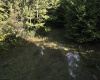 290 Long Fork Road, Flatwoods, West Virginia 26623, 0 , 0 ,0,Lots/land,For Sale,Long Fork,0,10167381