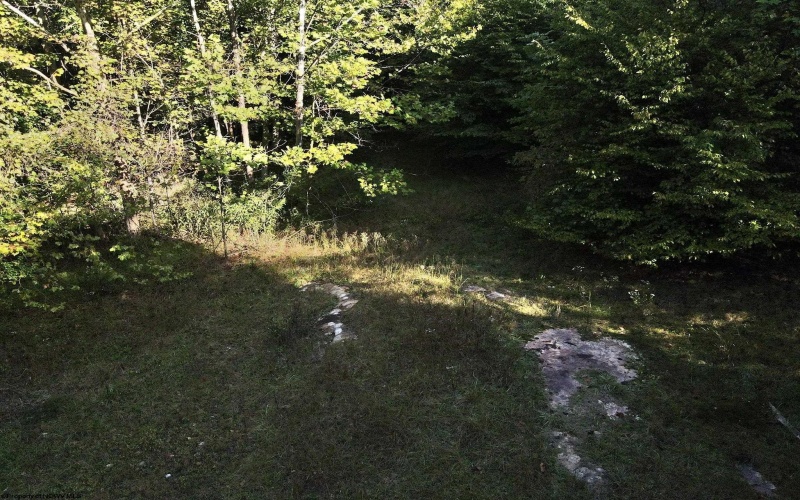 290 Long Fork Road, Flatwoods, West Virginia 26623, 0 , 0 ,0,Lots/land,For Sale,Long Fork,0,10167381